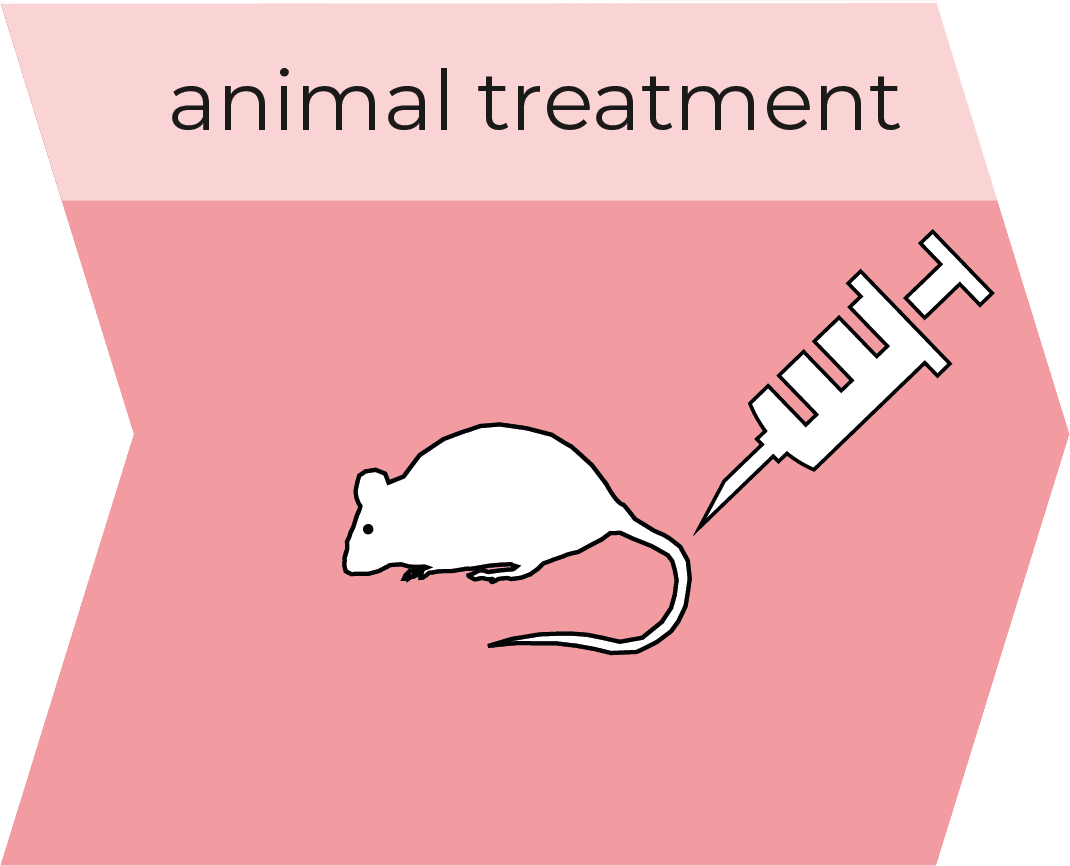 Animal-Treatment