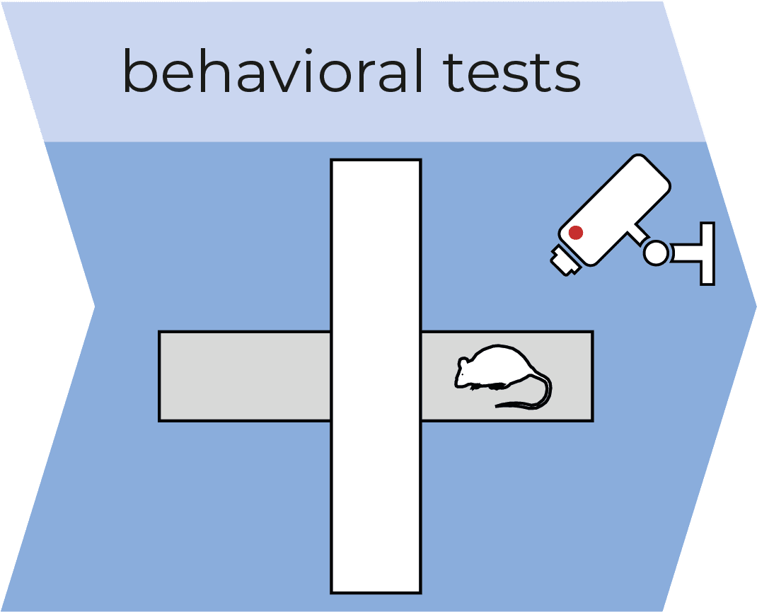 behavioral tests