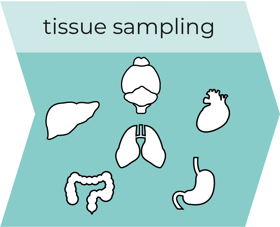 Tissue-sampling