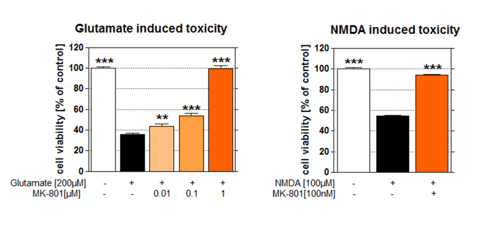 excitotoxicity-figure_Glutamate-and-NMDA-induced-toxicity