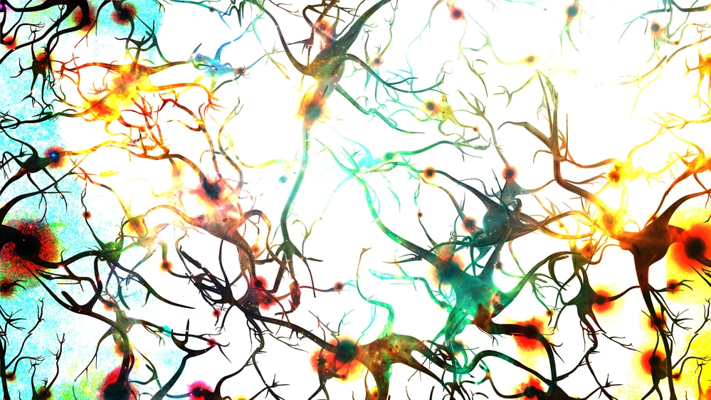 Brain cells with electrical firing