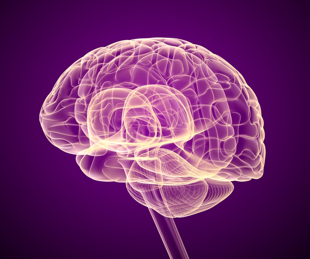Brain x-ray scan illustration on purple background