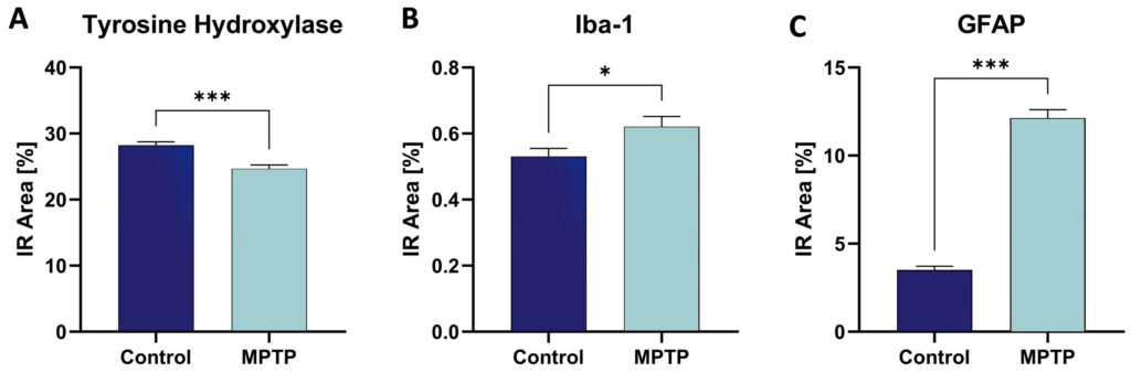 Repeated MPTP injections to model the Parkinson’s disease phenotype