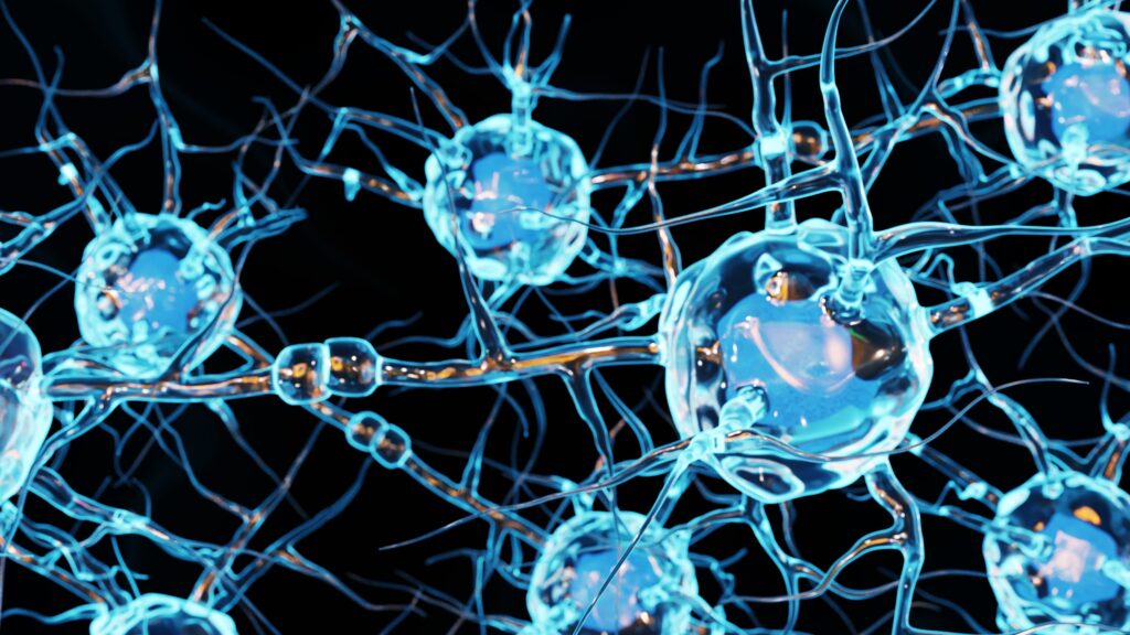 Graphic-illustration-of-a-neuron-communicating-with-other-cells-via-synapses