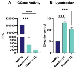 Patient-Derived Fibroblasts as Versatile Screening Tool for Lysosomal Storage Disease Research